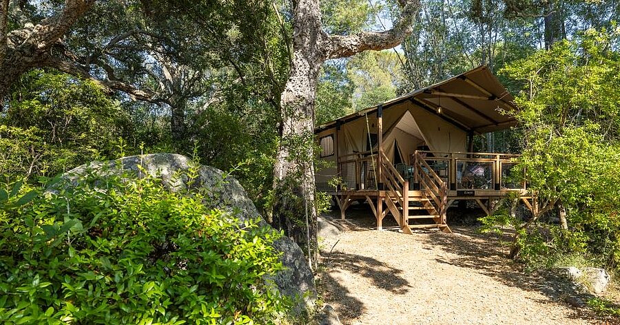 Wooden lodge tent nestled in the forest, perfect for an authentic glamping experience close to nature.