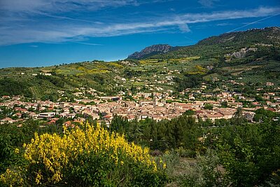 What to do in Buis-les-Baronnies? Top activities to enjoy
