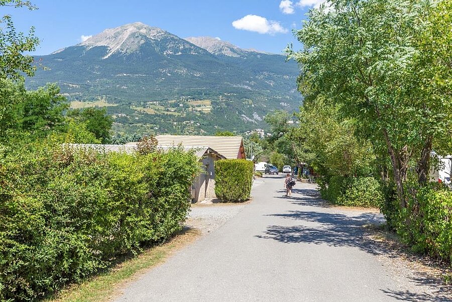 Shaded alley of a campsite in the Hautes-Alpes with mountain views, perfect for a peaceful holiday