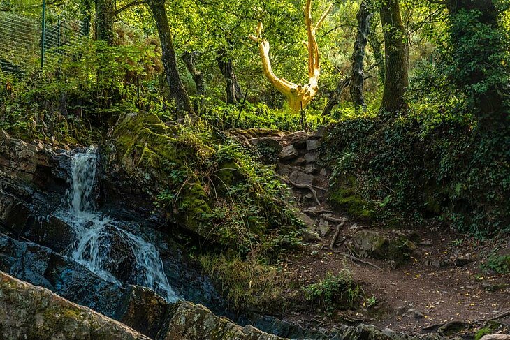 The Golden Tree in Brocéliande Forest, surrounded by wild nature and a small waterfall, to explore near Rochefort-en-Terre.
