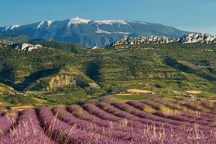 View of Mont Ventoux beyond lavender fields and the Provençal hills.