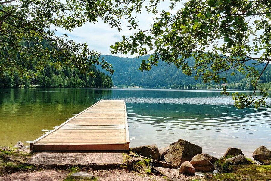 Wooden jetty on Lake Longemer, surrounded by lush forest — perfect for a nature-filled campsite holiday in the Vosges