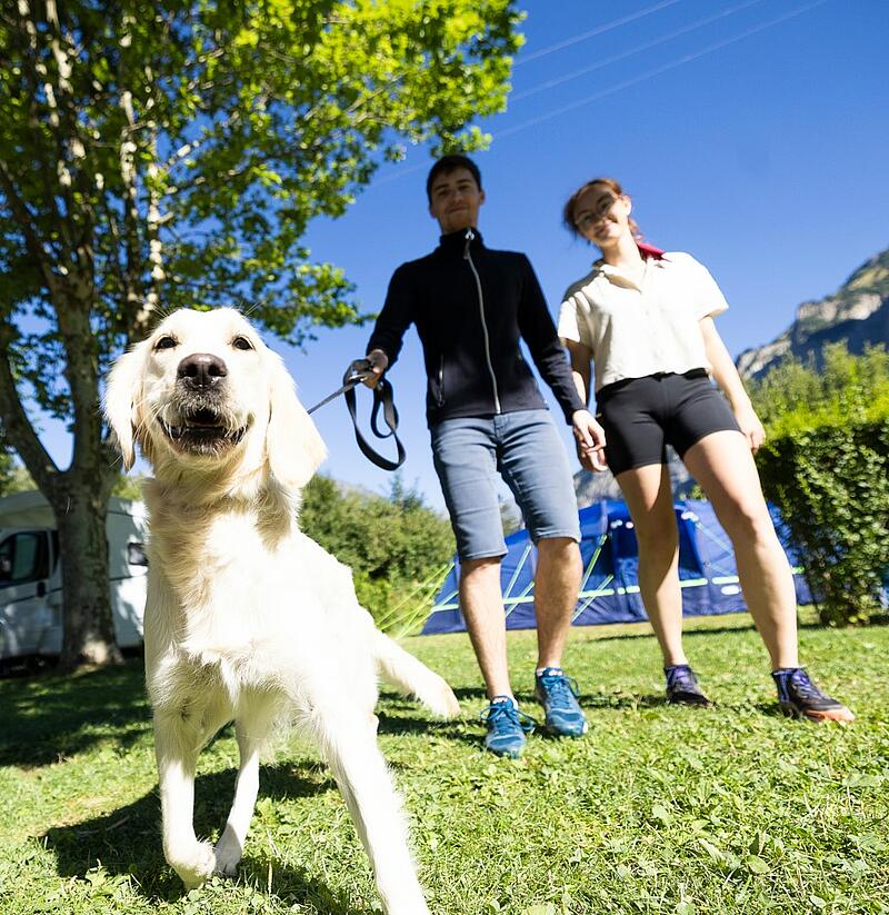 Choosing the best for your pet: unique services at Sites et Paysages