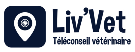 [Translate to Anglais:] LivVet, rencontrez un vétérinaire pour votre fidèle compagnon sans quitter le confort de votre camping sites et paysages !
