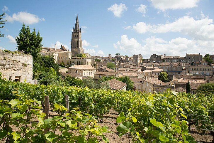 View over the vineyards of Saint-Émilion near Monfaucon, perfect for outdoor activities such as a hot air balloon flight.