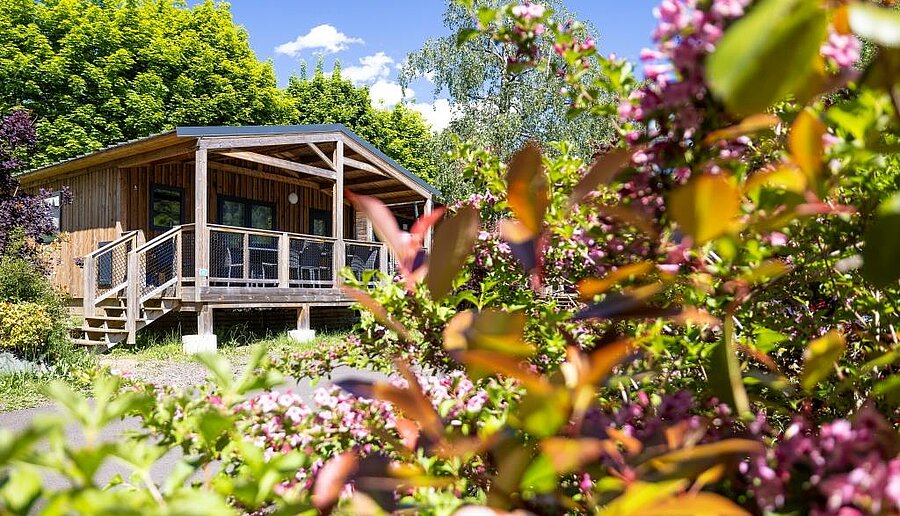 Wooden chalet surrounded by greenery and flowers at a campsite in Auvergne-Rhône-Alpes, set in a peaceful, lush environment.