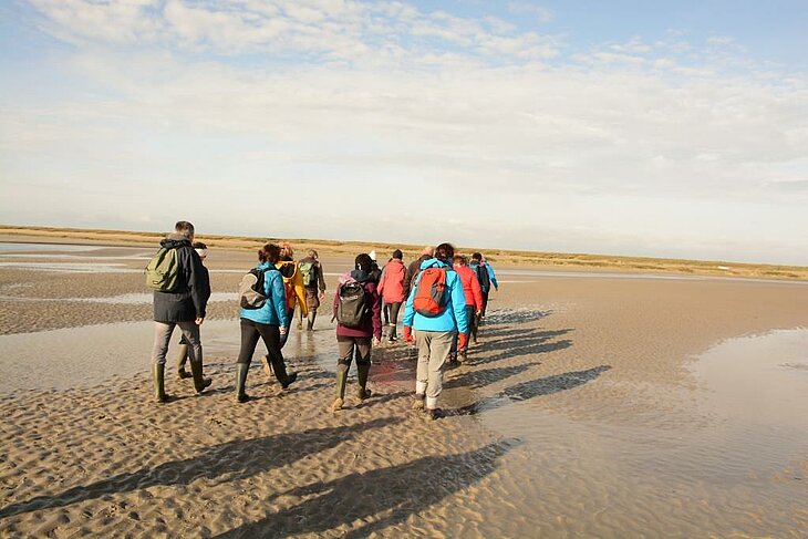 Group of hikers crossing the bay at low tide near Pointe du Hourdel, a must-do activity for exploring the Baie de Somme on foot.