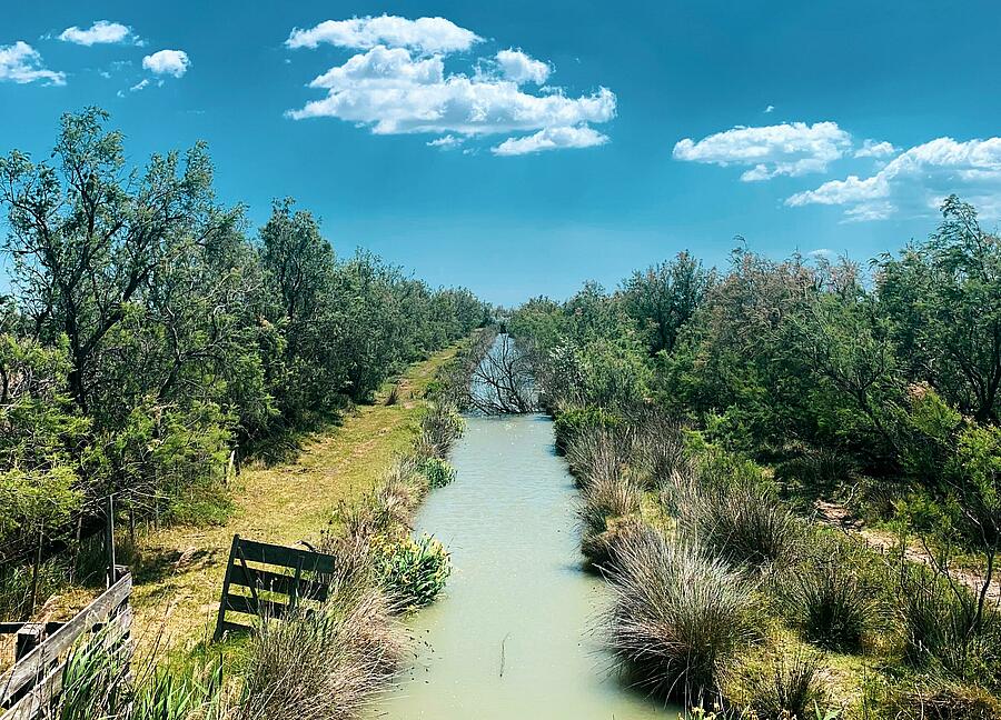 [Translate to Anglais:] 