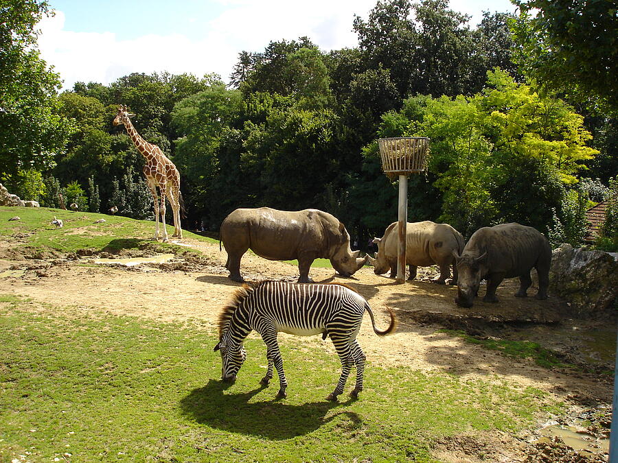 [Translate to Anglais:] 