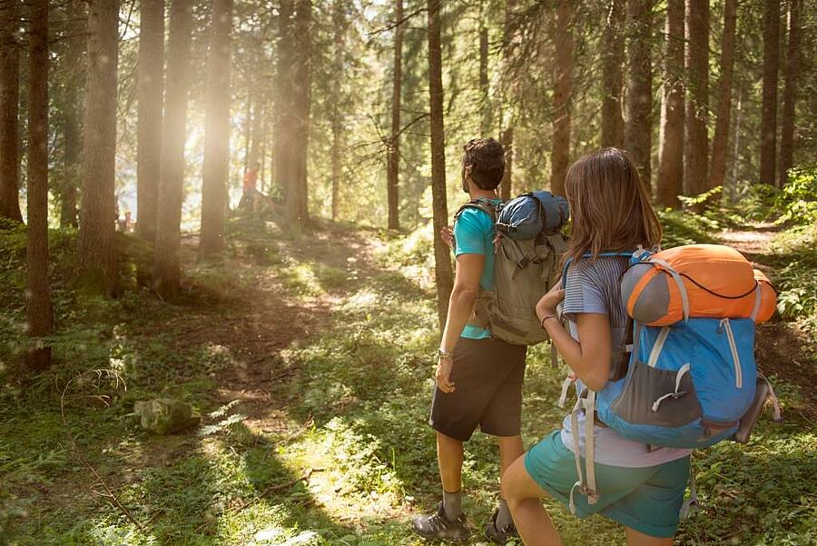 Couple on an autumn hike in a sunlit forest