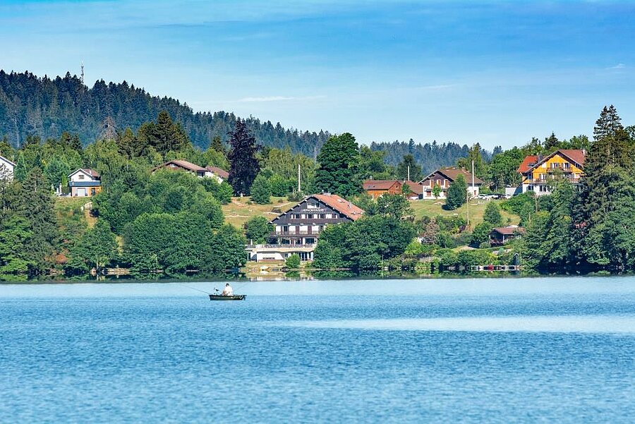 Scenic view of the Vosges region in North-East France, featuring lush forests, rolling hills, and the sparkling Lac de Gérardmer, a perfect destination for camping enthusiasts seeking nature, hiking, and tranquility