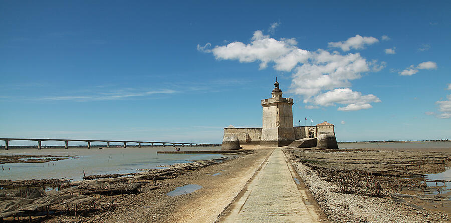 [Translate to Anglais:] 