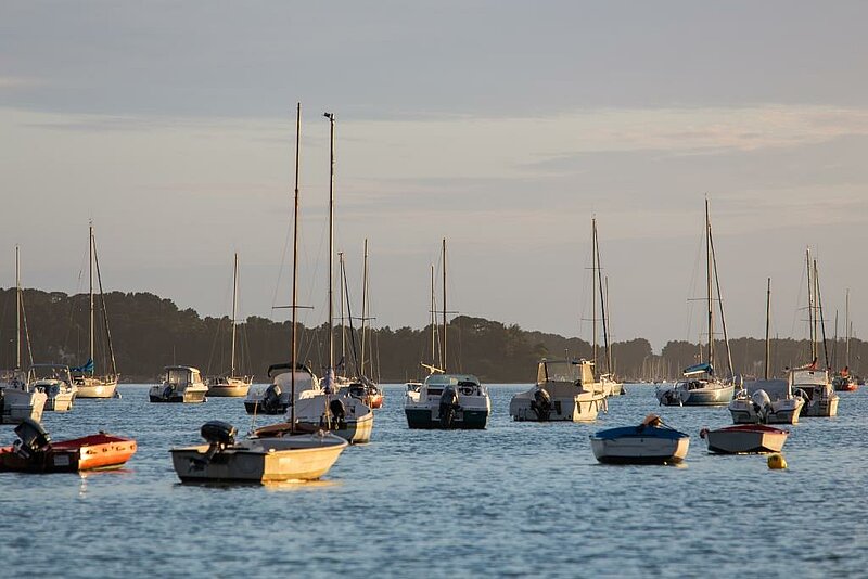Walking tour in Arradon: explore the Gulf of Morbihan