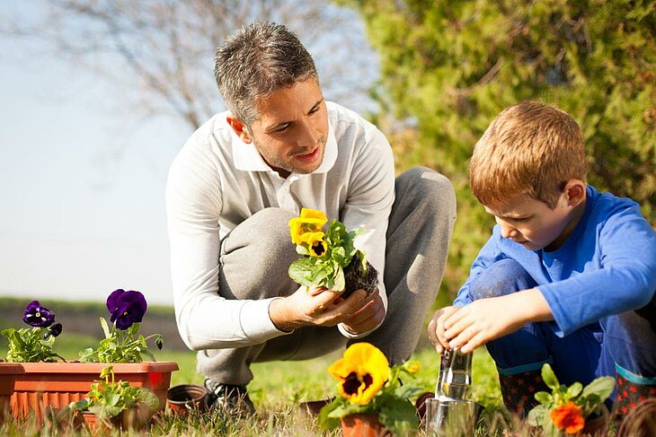 Spring Gardening as a Family Father and son plant flowers in the garden, a fun and educational nature activity during the holidays.
