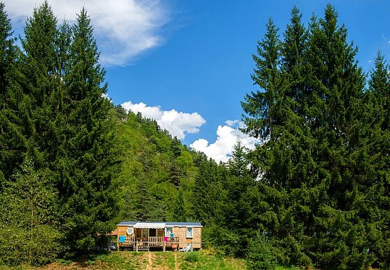 A campsite rental immersed in nature