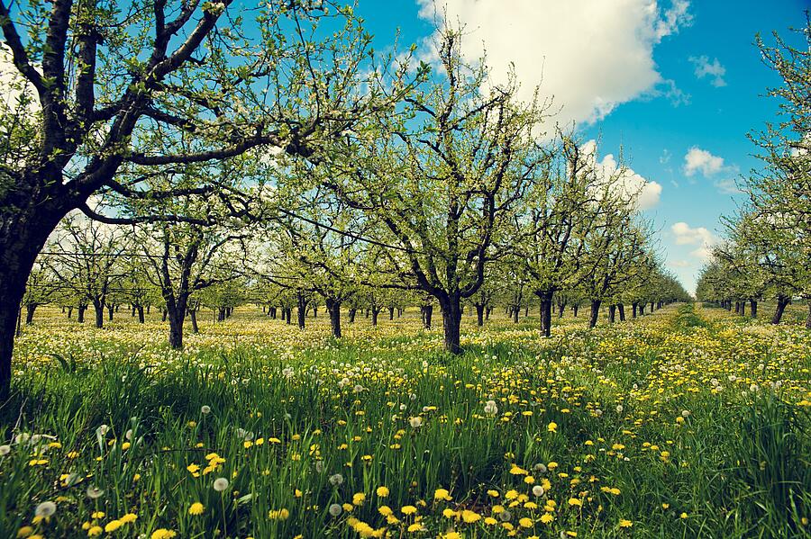 [Translate to Anglais:] 