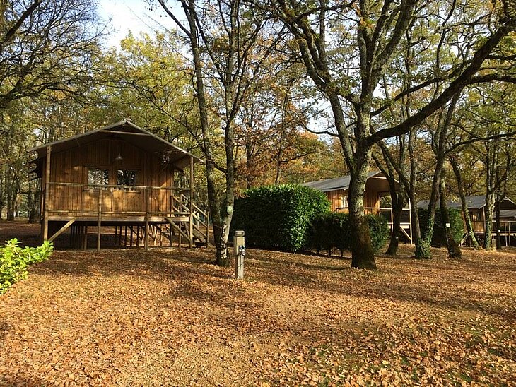Chalet en camping nature en automne → Chalet at a nature campsite in autumn Chalets en bois installés sous les arbres aux couleurs d’automne dans un camping nature → Wooden chalets set beneath autumn-coloured trees at a nature campsite