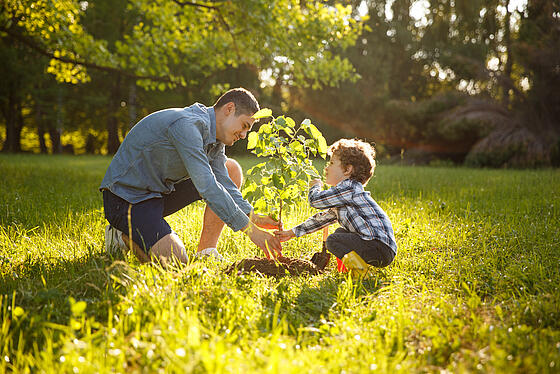 Father and son planting a tree during an eco-friendly camping holiday, symbolizing our sustainable commitment to nature-friendly tourism.