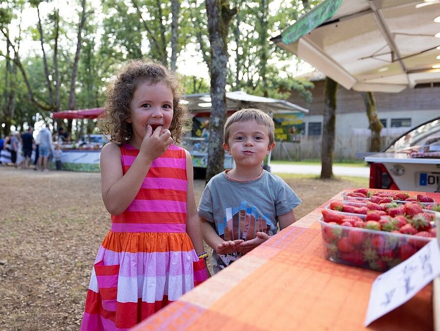 Children tasting strawberries at a campsite market, a gourmet family holiday moment discovering local products.