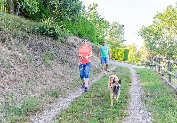 Marked trails with dogs