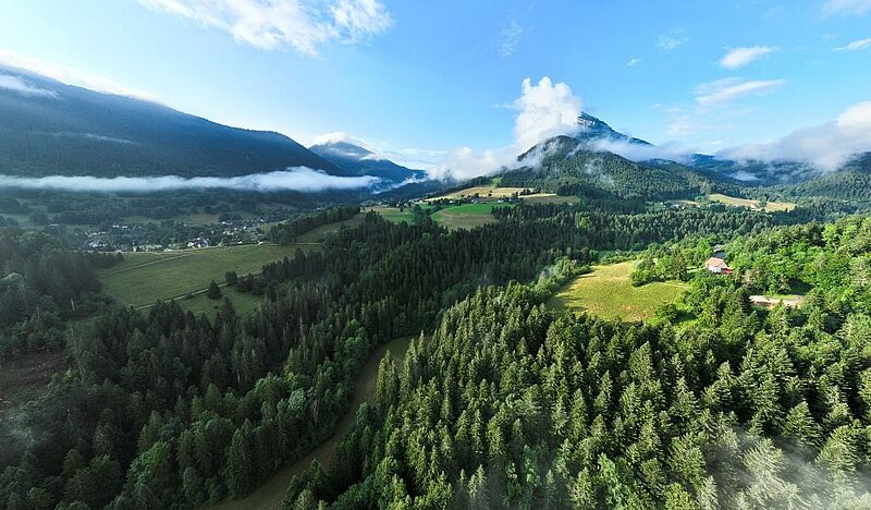 What to do in Saint Pierre de Chartreuse on holiday?