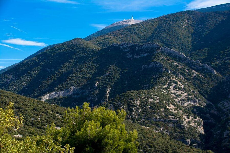 View of the green slopes and iconic summit of Mont Ventoux, a natural setting near the campsite.