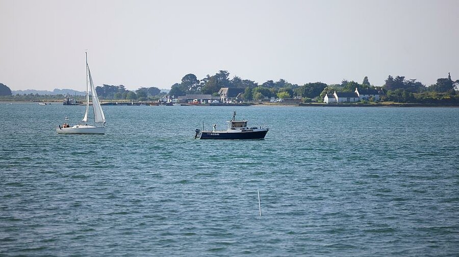 Sailboats gliding on the calm waters of the Gulf of Morbihan, a natural gem to explore from the campsite.