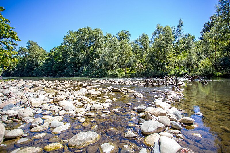 Martres-Tolosane tourism: guide to this gem of Haute-Garonne