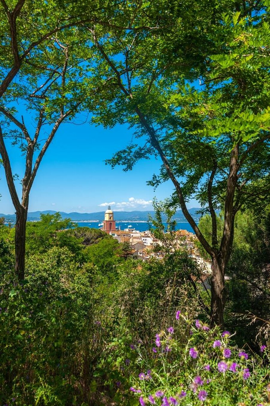 View of a typical village in the PACA region, surrounded by greenery, with a bell tower and the Mediterranean Sea in the background — perfect to highlight the natural and cultural beauty of the region during a campsite stay.