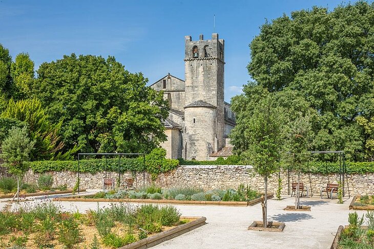 Notre-Dame-de-Nazareth Cathedral in Vaison-la-Romaine, seen behind a tree-filled garden beneath a blue sky.