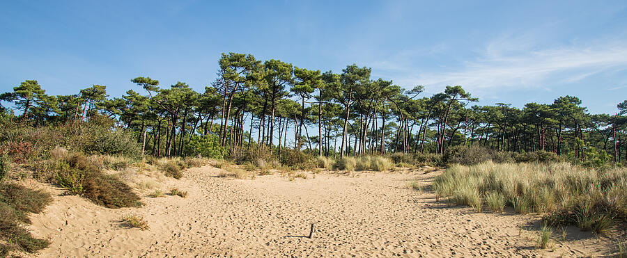 [Translate to Anglais:] 