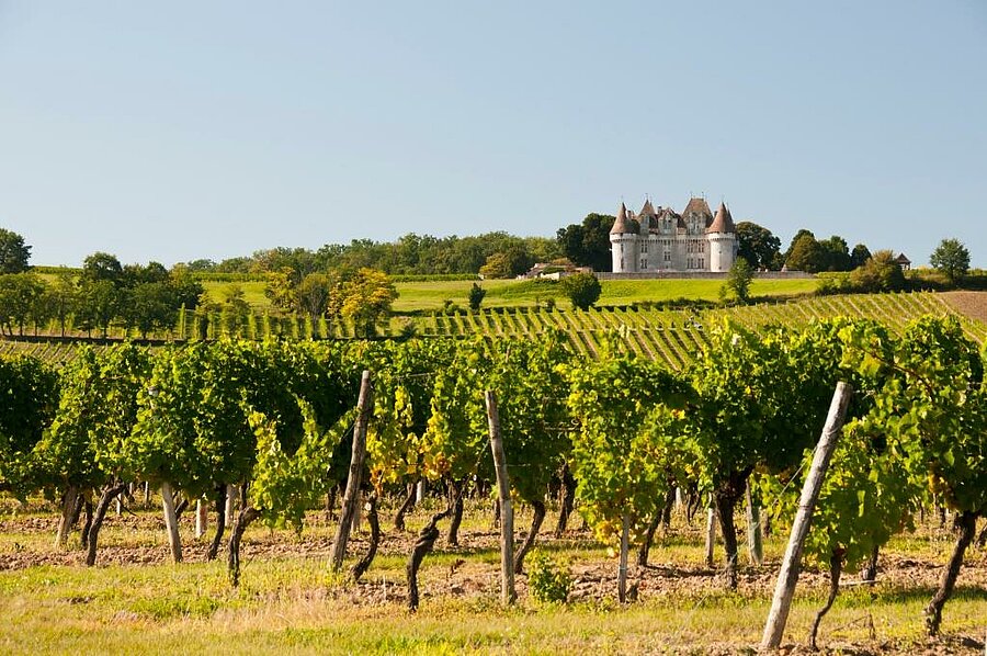 Monbazillac vineyards with a view of the castle – a must-see near your campsite close to Bergerac