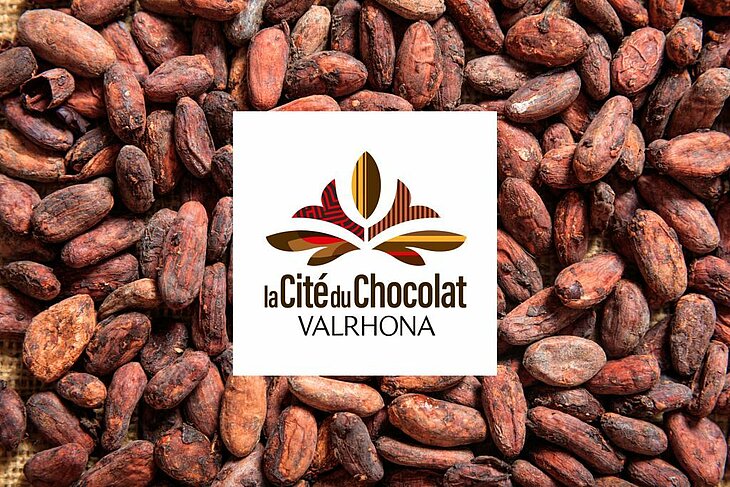 Valrhona Chocolate City logo on a background of cocoa beans, a delicious visit in Tain-l’Hermitage to enjoy around Eclassan as part of local tourism.