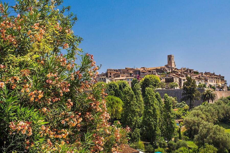 Picturesque village in spring colors with blooming trees.