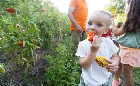 Little girl tasting a vegetable in a campsite garden, illustrating the Little Responsible Camper Charter and early learning about sustainable tourism.