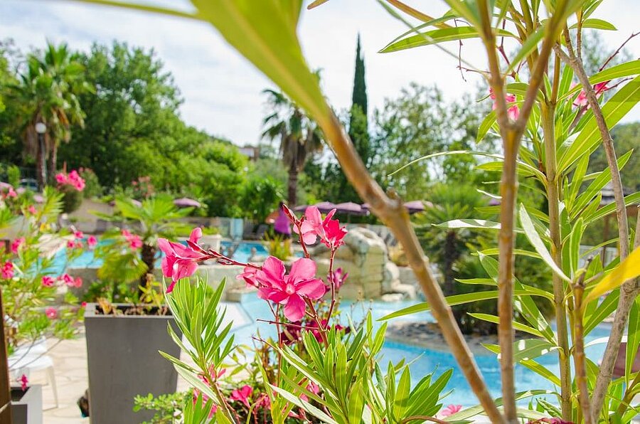 Pool lined with oleanders at a campsite in the Alpes-Maritimes, floral setting and relaxing atmosphere in Provence-Alpes-Côte d’Azur.