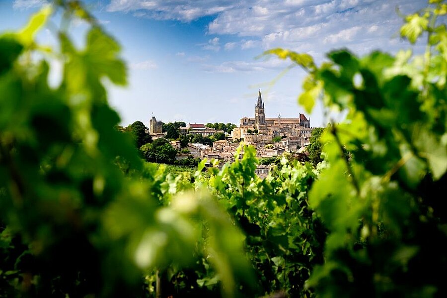 View of the medieval village of Saint-Émilion framed by vineyards, a UNESCO-listed site to explore during a Camping Saint-Émilion stay.