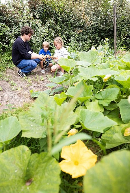 Nature-based activity with children in a vegetable garden at the campsite, reflecting the commitment of Sites et Paysages to sustainable and participative tourism.