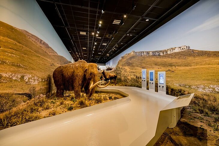 Immersive exhibition at Chauvet Cave 2 in the Ardèche, featuring a reconstructed mammoth and an engaging journey into prehistoric life.