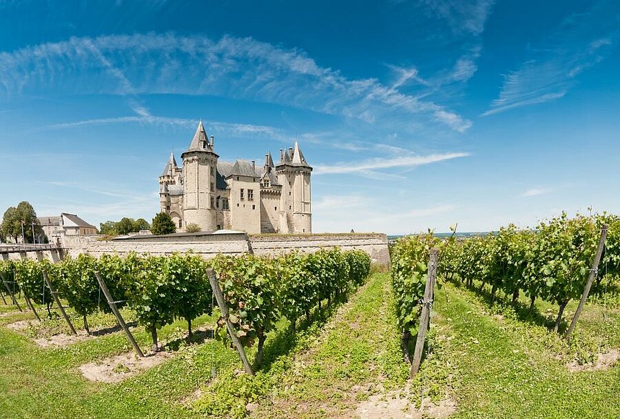 Vineyard with medieval-style castle in the background under a blue sky in Saumur, Loire Valley, France.