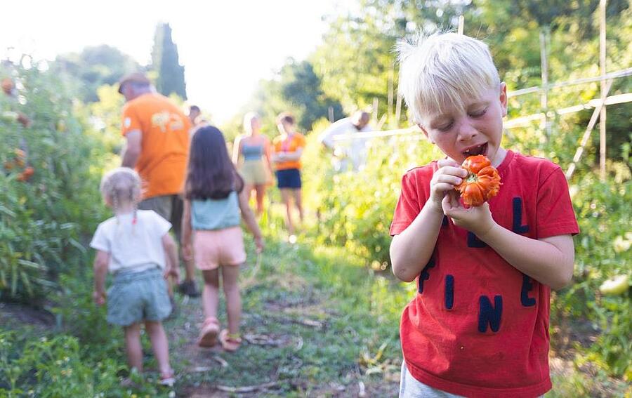 family-activities-campings-sites-et-paysages