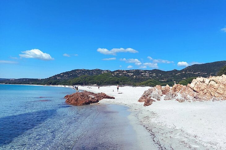 Palombaggia Beach with white sand and turquoise waters in South Corsica, a must-visit when planning what to do in Corsica.