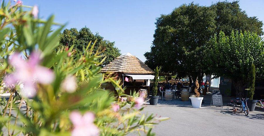 Shaded terrace of a campsite bar near Sampzon, friendly atmosphere and relaxation under the trees in Ardèche.