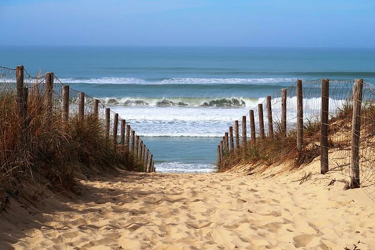 Wild Beach on the Atlantic Coast Access path to a sandy beach overlooking the Atlantic Ocean, an iconic destination for tourism in Nouvelle-Aquitaine.