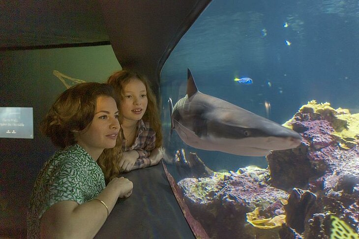 Mother and child watching a shark in the aquarium at La Cité de la Mer in Cherbourg, a fun and educational family outing in Normandy.