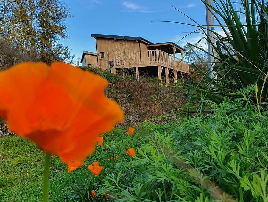Wooden chalet nestled in green surroundings on a campsite near the Canal du Midi, in Occitanie.