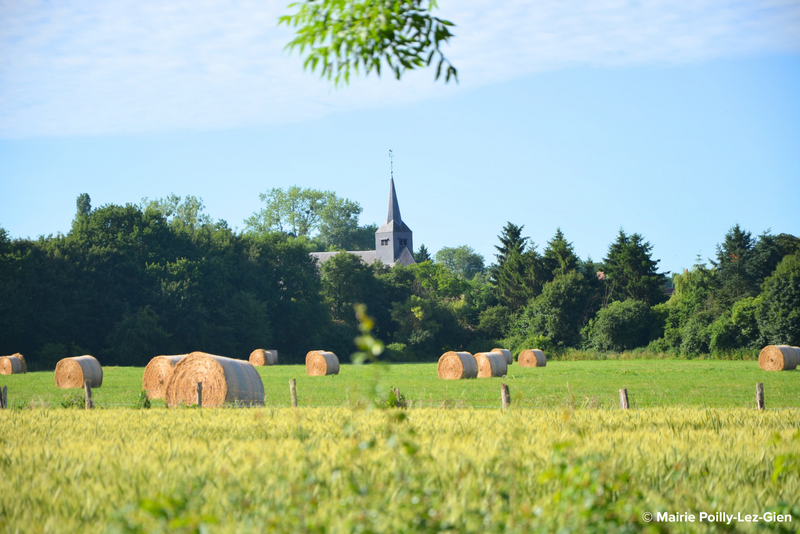 Poilly-lez-Gien Tourism: Experience a Pause Between the Loire, Castles, and Gentle Living