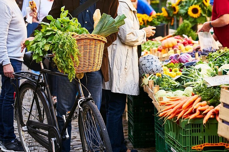 Saint-Antonin-Noble-Val Market Fresh vegetable stall with carrots, cabbages and lettuces, beside a bicycle with a basket full of leafy greens at a market.