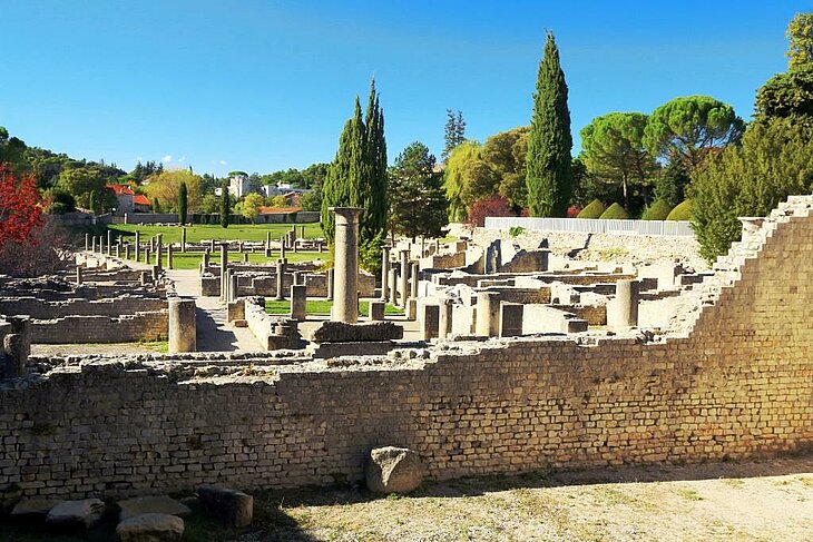 Gallo-Roman ruins and columns at the ancient sites of Vaison-la-Romaine, surrounded by trees beneath a blue sky.