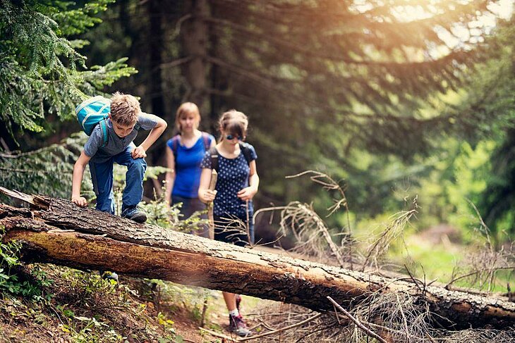 Forest Walk During Family Holidays Children exploring the forest on a family hike, enjoying a local nature adventure.